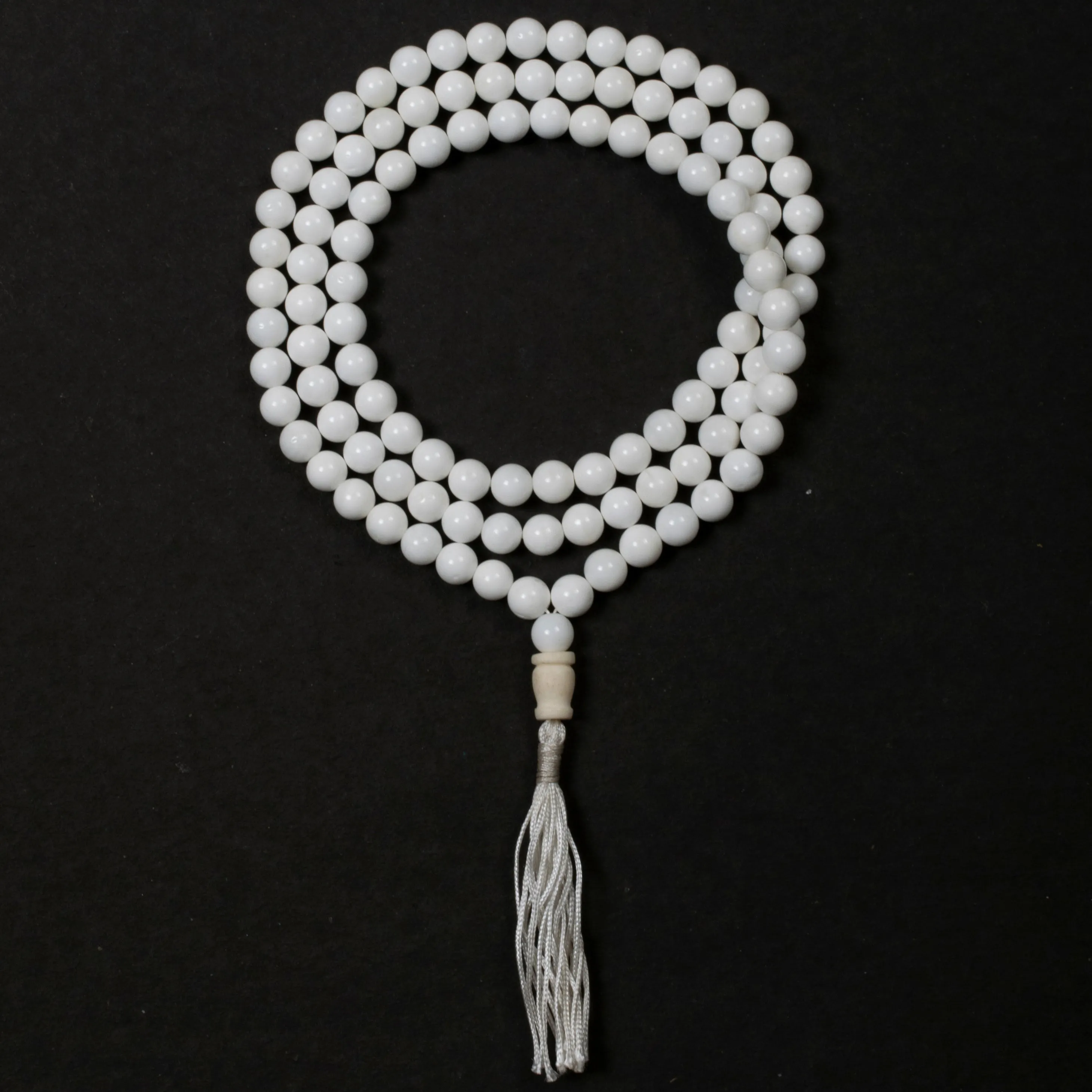 Naga Shell Spiritual Awakening